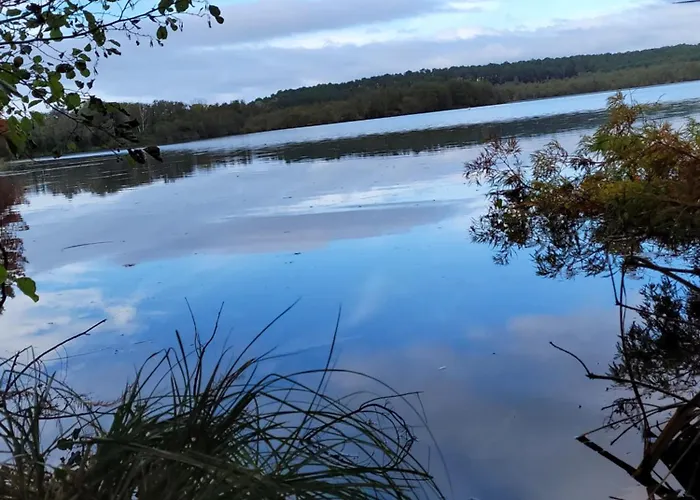 Cosy Proche Et Centre *